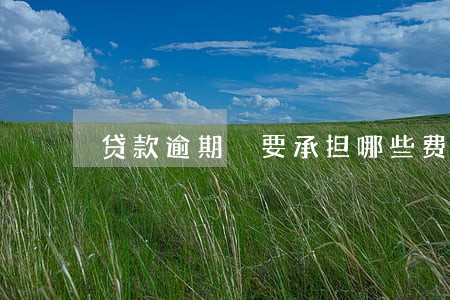 贷款逾期 要承担哪些费用 贷款逾期 要承担哪些费用